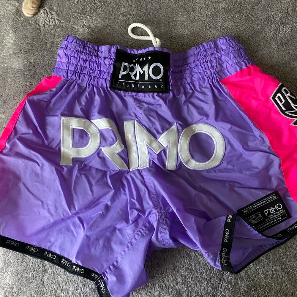 Women's Purple and Pink Fightwear Shorts